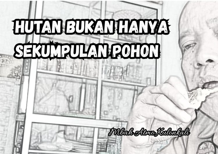 HUTAN BUKAN HANYA SEKUMPULAN POHON